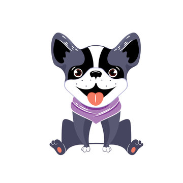 A vector image of a boston terrier. Children's illustration