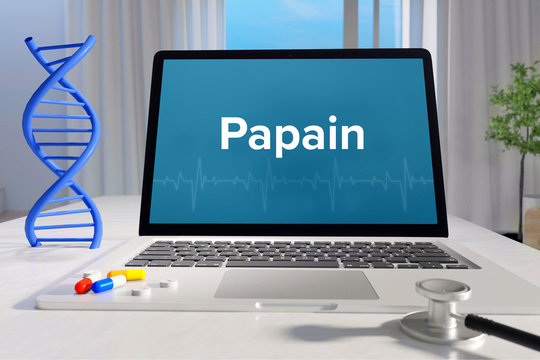 Papain – Medicine/health. Computer In The Office With Term On The Screen. Science/healthcare