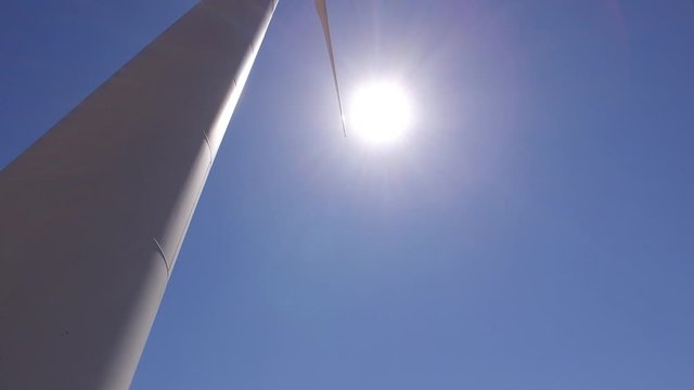 wheat field with eolic turbines wind renewable energy farm 4k