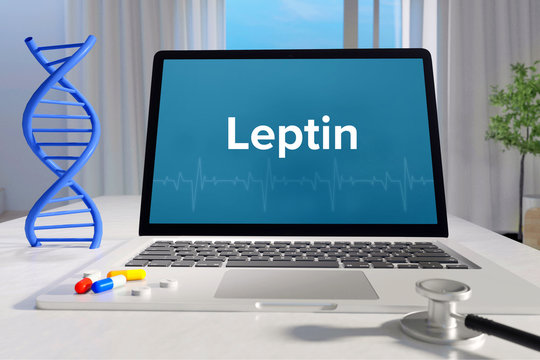 Leptin &ndash; Medicine/health. Computer in the office with term on the screen. Science/healthcare