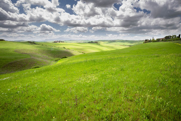 Colline Toscane e verdi praterie in Val di Orcia