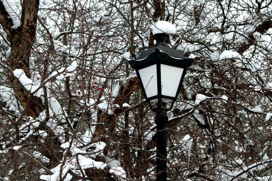 old street lamp in park