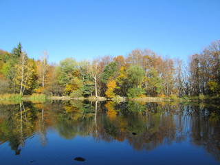 Fototapeta premium reflection of autumn trees in the lake