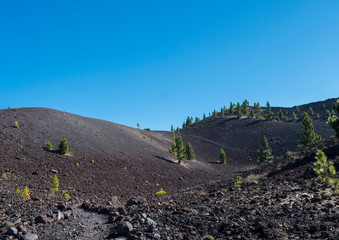 Beautiful volcanic landscape with lush green pine trees and colorful volcanoes along the path Ruta de los Volcanes, beautiful hiking trail at La Palma island, Canary Islands, Spain, Blue sky