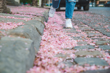 body parts close up. woman walking in white sneakers by fallen off pink sakura flowers