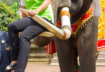 asian woman sitting on ivory elephant in Thailand.