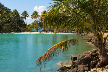 Tropical island beach with coconut palm trees. Sand spit in the sea.