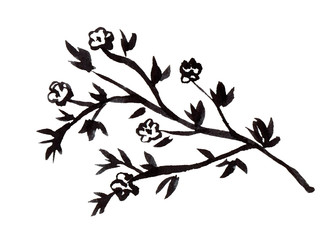 Flowering branch with leaves flowers hand drawn in black ink isolated on a white background. Monochrome illustration for seasonal spring design.