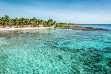 Tropical beach with palm trees and turquoise water at the port of Costa Maya, Mexico.