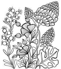 coloring flowers childrens illustration graphic outline black and white isolate vector nature berries