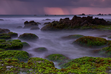 Abstract background of coral reef formation covered by green moss in long exposure photography mode
