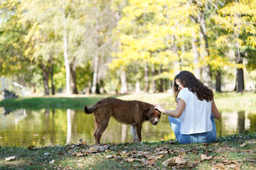 Young girl and a dog near lake outdoors. 