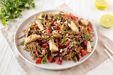 Homemade Spicy Chicken Soba Noodle Salad on a gray plate on a white wooden background, low angle view. Close-up.