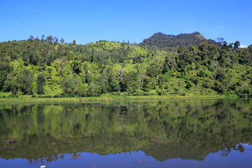 Green and beautiful area around Lake Cisanti which is the source of the Citarum River water flow in West Java.
