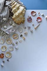 Sea shells and beach mat, summer holiday symbols image.