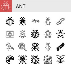 Fototapeta na wymiar Set of ant icons