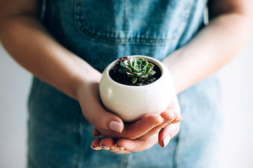 Young woman holds a pot with little succulents against a white wall in her house.