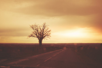 Country road in the early autumn morning. Silhouette of trees against a dramatic sky. View through the wet windscreen