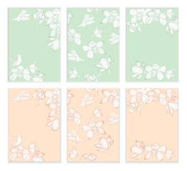 Orchid flowers on a pastel background, templates for invitation, advertising, banner, vector illustration