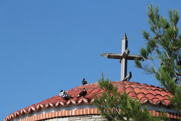 A roof with a cross on it surrounded by pigeons and greenery under a blue sky
