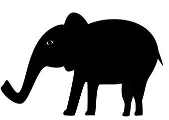 Vector elephant from Africa. Black and white illustrations for babies. Nature. Monochrome. Illustrations. Vector