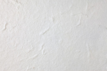 White Mulberry paper background.