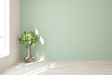 Empty room in mint color with home plant. Scandinavian interior design. 3D illustration