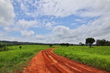 Thung Salaeng Luang National Park, Thailand