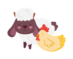 sheep and hen farm animal cartoon