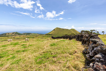 Rolling Pastures of Pico Island