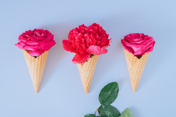 Ice Cream Cones with pink peony and roses on blue background, flat lay, minimalism