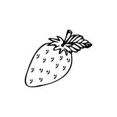 Single hand drawn strawberries isolated on a white background. Doodle, simple outline illustration.