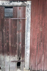 Broken red barn door in Swedish styke with brass hinges