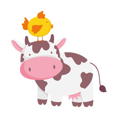 cow and chicken in head farm animal cartoon