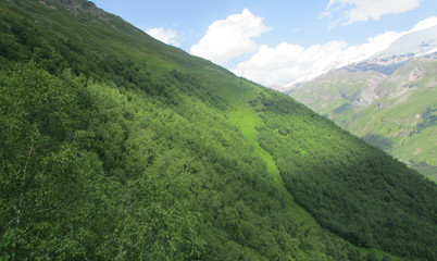 Fototapeta premium The mountainside is covered with trees and grass against a blue sky with a cloud