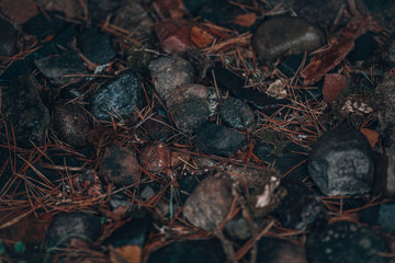 Wet forest stones, defocused background. Gloomy photo with stones, top view