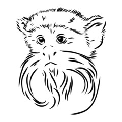 vector illustration of a monkey with mustache and beard