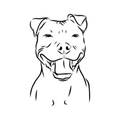 Portrait of smile dog, vector sketch 