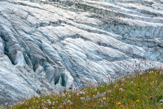 Mountainous landscape. View at apine meadow on the background of open glacier.