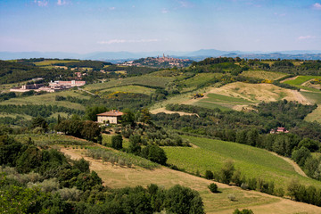 Fototapeta na wymiar Classic Italian landscape in Tuscany with vineyards, cypresses, hills in late spring