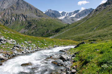 Fototapeta na wymiar Summer alpine landscape. View at wild mountain river.