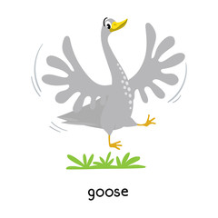 Funny goose vector illustration. Farm animals series