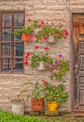 Fototapeta na wymiar Flower Pot Wall
