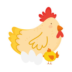 hen chicken and eggs farm animal cartoon