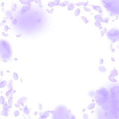 Violet flower petals falling down. Unusual romanti