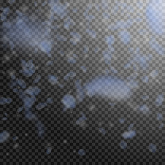 Light blue flower petals falling down. Wonderful r