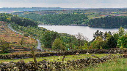 View at the Thruscross Reservoir, North Yorkshire, England, UK