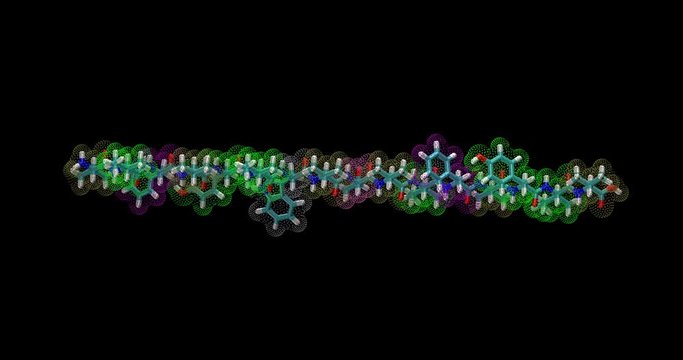 Protein beta sheet secondary structure (single strand), spinning  on X axis