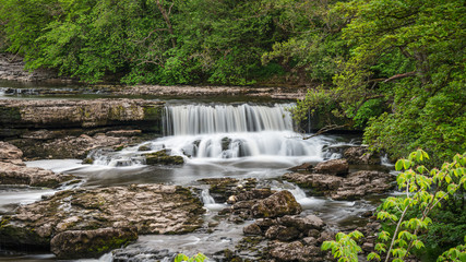 View at the Aysgarth Falls and the River Ure from the Yore Bridge, North Yorkshire, England, UK