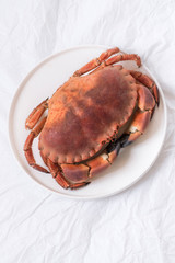 Cooked crab on a white dish, white paper background.  Delicious seafood